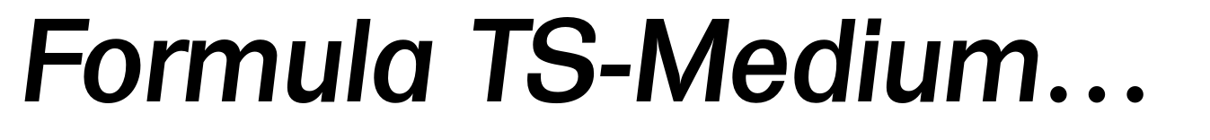 Formula TS-Medium Italic